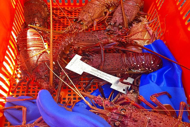 Luxe Seafood Package With Round Trip Ferry From Fremantle - The Sum Up