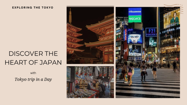 Luxe Travels: Private Tokyo Day Trip Itinerary - Good To Know