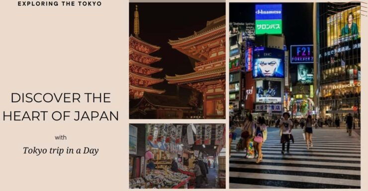 Luxe Travels: Private Tokyo Day Trip Itinerary - Attractions Description