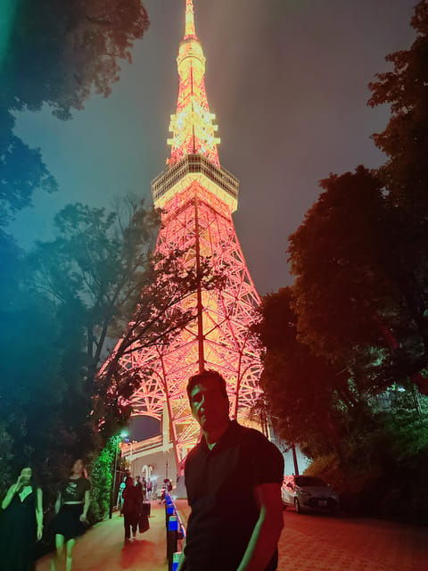 Luxe Travels: Private Tokyo Day Trip Itinerary - Transportation and Comfort