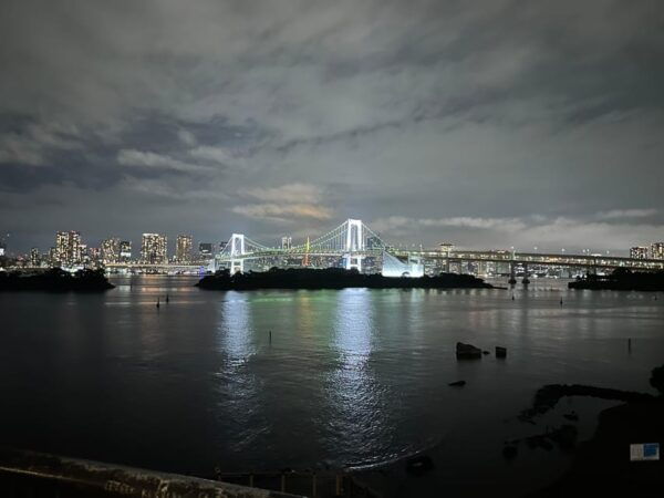 Luxe Travels: Private Tokyo Day Trip Itinerary - Booking Process