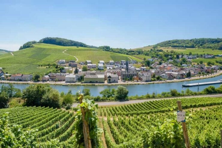 Luxembourg: Moselle Day Trip With Wine Tasting and Boat Tour - Key Points