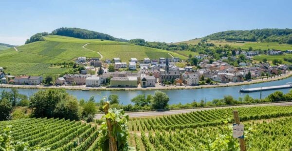 Luxembourg: Moselle Day Trip With Wine Tasting and Boat Tour - What to Expect on the Tour