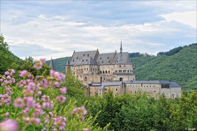 Luxembourg: Nature & Castle Day Trip - Reviews
