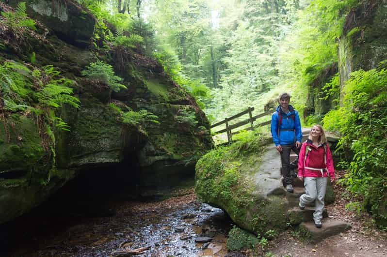 Luxembourg: Nature, History and Castles Full-Day Tour - Practical Details and What You Get for 2