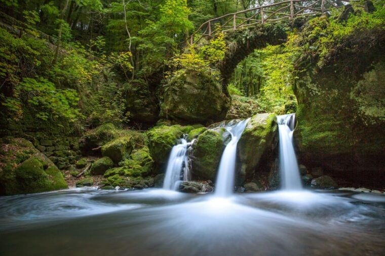 Luxembourg: Nature, History and Castles Full-Day Tour - Who Will Love This Tour?