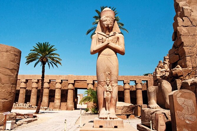 Luxor 1 Day Tour by Bus From Hurghada - Operator Information