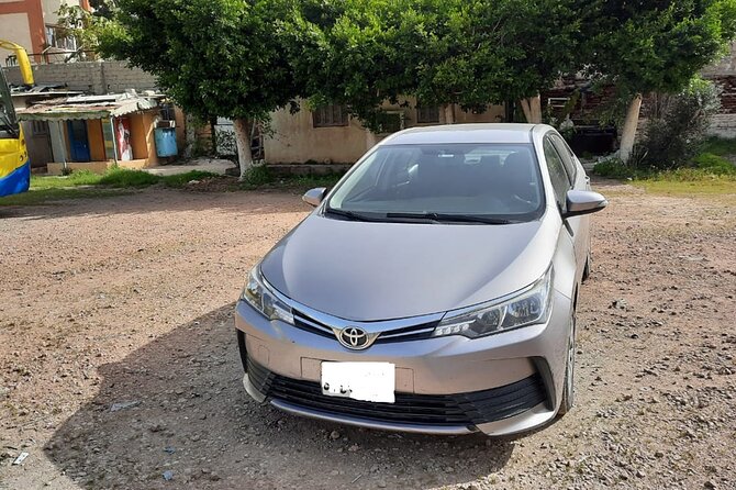 Luxor Airport Private Departure - Highlights