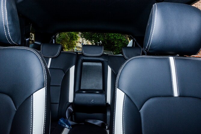 Luxor Airport Private Luxury Transfer (Arrival or Departure) - Accessibility Information