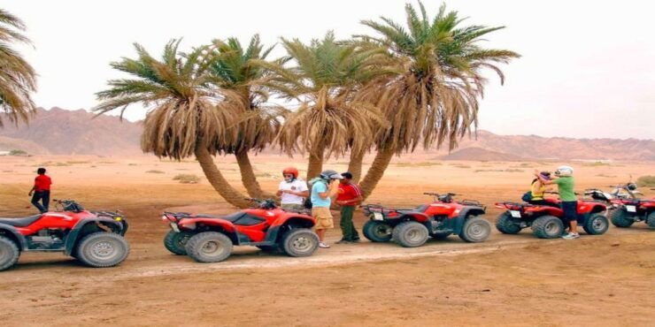 Luxor: Balloon, Quad Bike, Horse Ride, Felucca With Meals - Activity Details