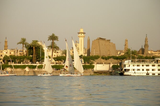 Luxor City Tour By Horse Carriage - Operator Information