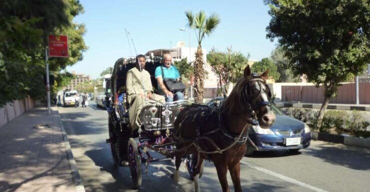 Luxor: City Tour by Horse Carriage From the East Bank - Booking Details