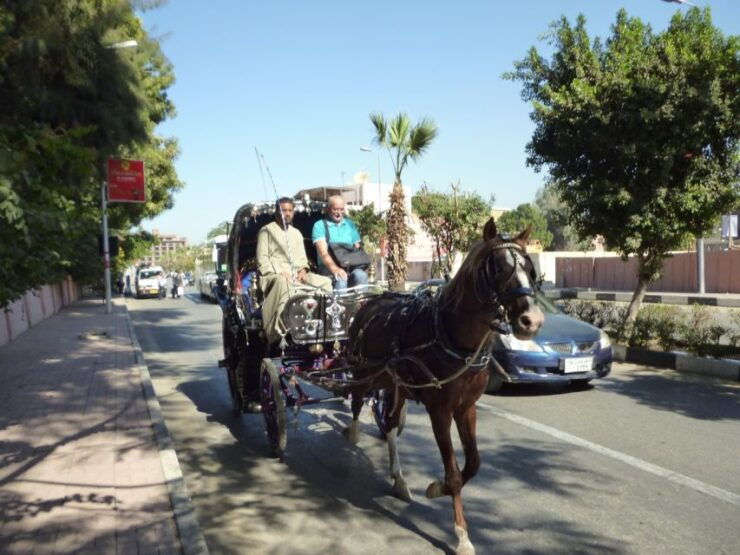 Luxor: City Tour by Horse Carriage From the East Bank - Experience Highlights
