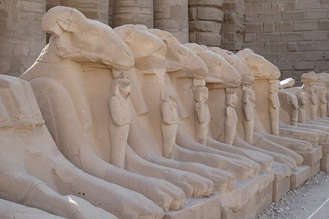 Luxor Day Tour by Flight From Cairo With Tours ,Sailing Felucca and Camel Ride - Itinerary Overview