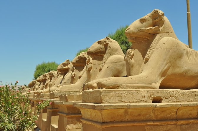 Luxor Day Tour From Cairo With Lunch by Flight King Tuts Tomb Valley - Flight Details
