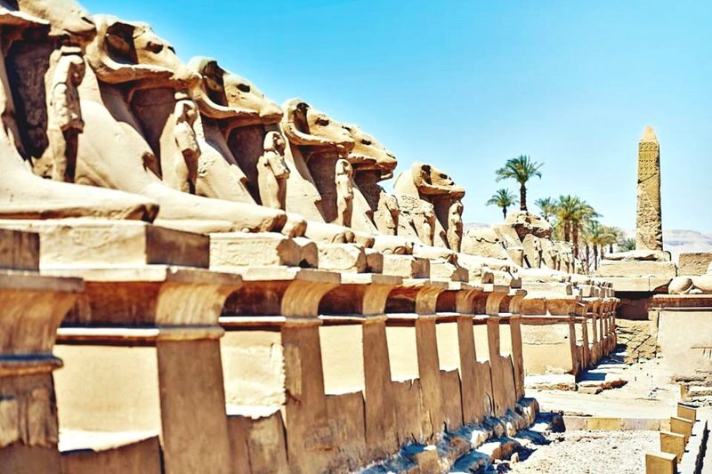Luxor Full-Day Karnak Temple & Valley of Kings Tour - A big Luxor day from the Red Sea
