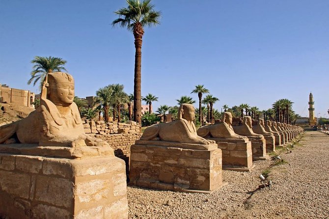 Luxor Full Day Tour East and West (Private Tour) - Reviews and Ratings