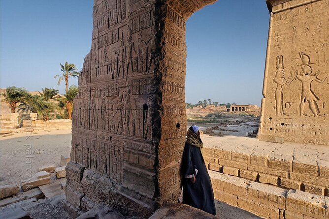 Luxor Full Day Tour:Valley of Kings&Hatchepsut Temples And Tombs - Customer Reviews