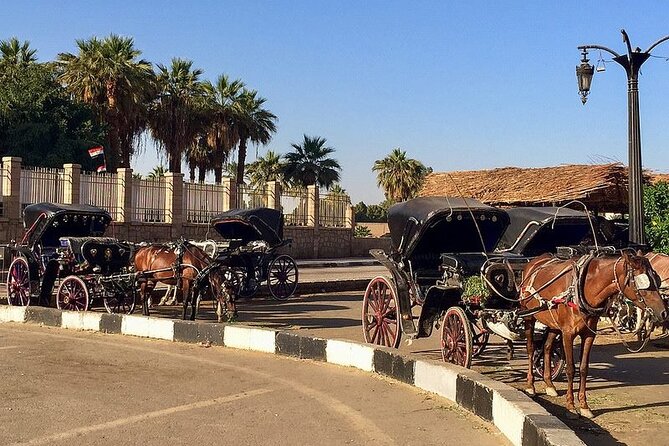Luxor Horse-Drawn Carriage City Tour - Additional Information