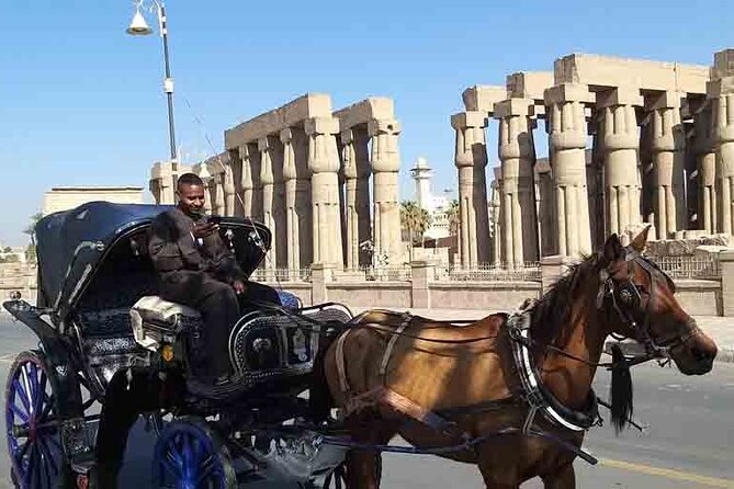 Luxor Horse-Drawn Carriage City Tour - The Sum Up