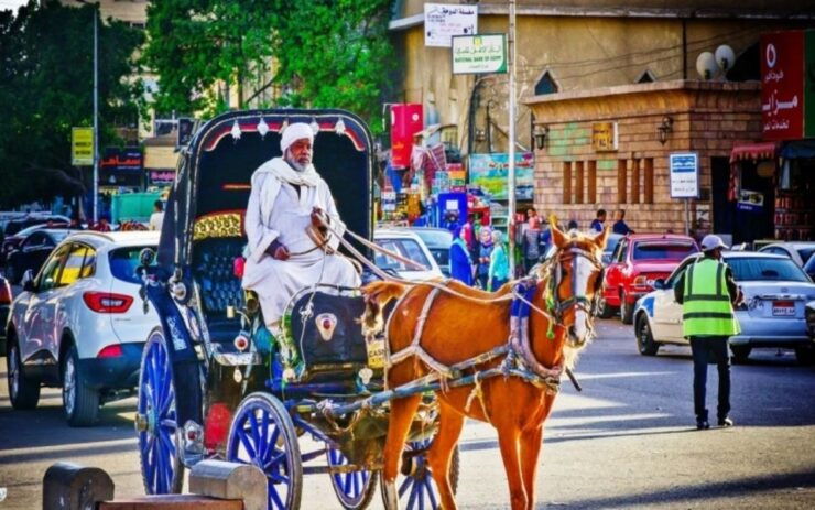 Luxor : Luxor City Tour By Horse Carriage - Tour Highlights