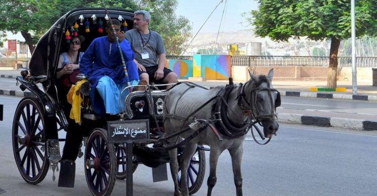 Luxor : Luxor City Tour By Horse Carriage - Booking Information