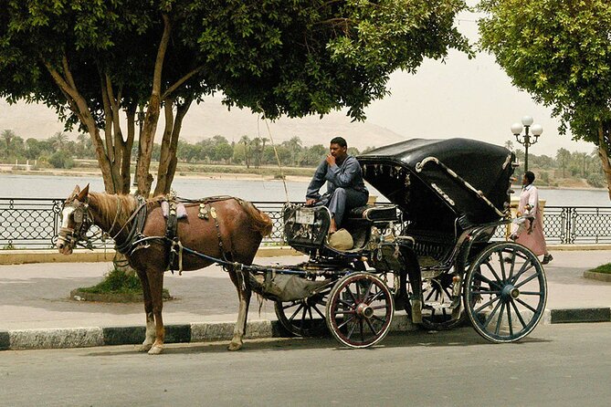 Luxor & Mummification Museums & City Tour by H. Carriage & Dinner - The Sum Up