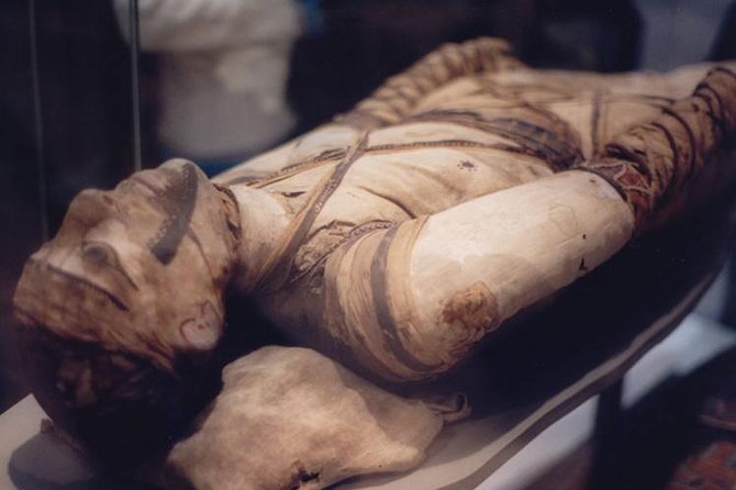 Luxor Museum & Mummification Museum - Tour Highlights
