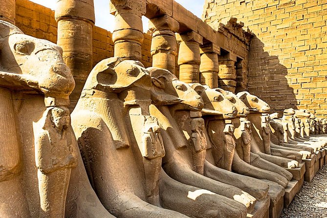 Luxor Private Day Tour East and West Banks With Lunch / Private - Cancellation Policy