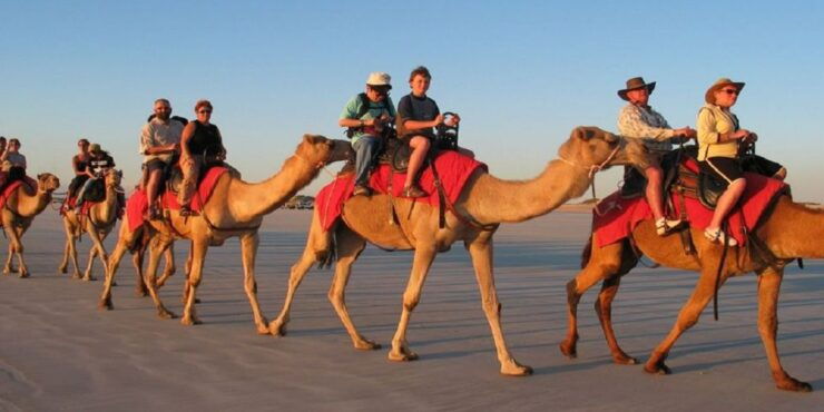 Luxor: Scenic Camel or Horse Ride - Activity Details