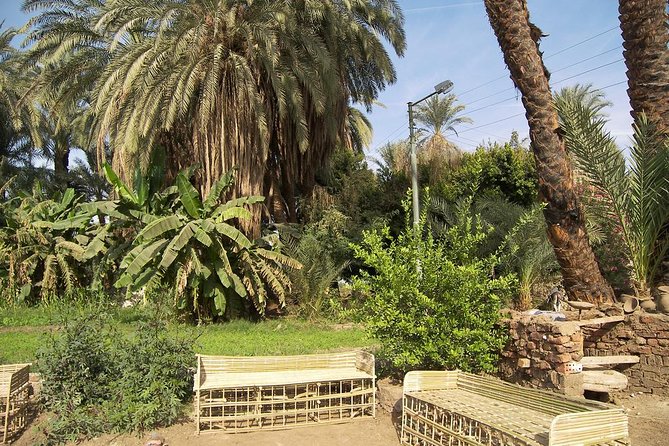 Luxor Sunset Felucca Ride and Banana Island With Lunch or Dinner - Delicious Food