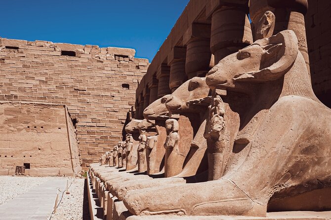 Luxor Valley of the Kings Full-Day Trip From Marsa Alam - Included Services