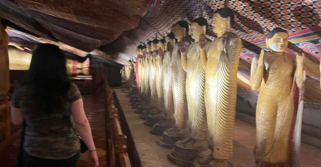 Luxurious All Inclusive Sigiriya & Dambulla Day Tour - Transportation Details