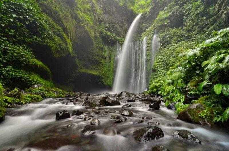 luxurious sendang gila, tiukelep waterfal & selong hill tour - FAQ