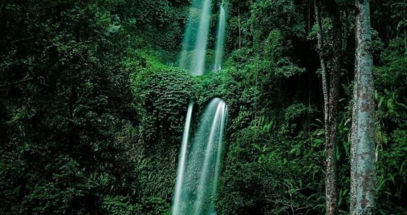 luxurious sendang gila, tiukelep waterfal & selong hill tour - An in-depth look at the tour