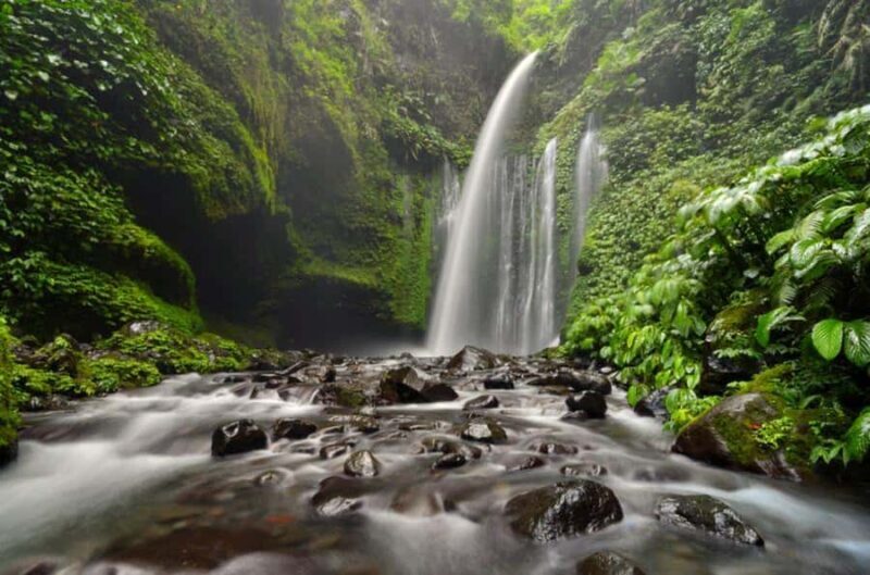 luxurious sendang gila, tiukelep waterfal & selong hill tour - Who Will Love This Tour?