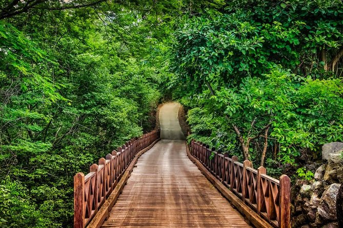 Luxurious Shuttle Service to Costa Rican Paradise - Inclusions and Amenities Provided