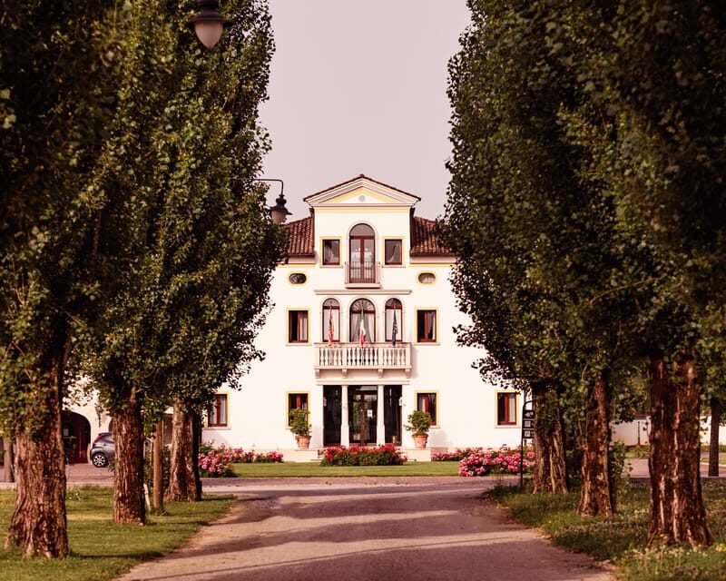 Luxurious Wine Experience: Savor Venetian Best Vineyards - Good To Know