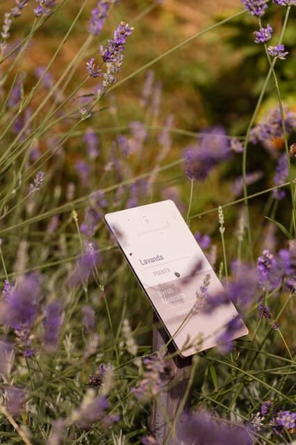 Luxurious Wine Experience: Savor Venetian Best Vineyards - An In-Depth Look at the Venetian Wine Tour