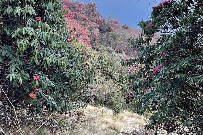 Luxurious Worlds Top Ten Trail- Annapurna Circuit Trekking in Kathmandu, Nepal - Pricing and Booking Details