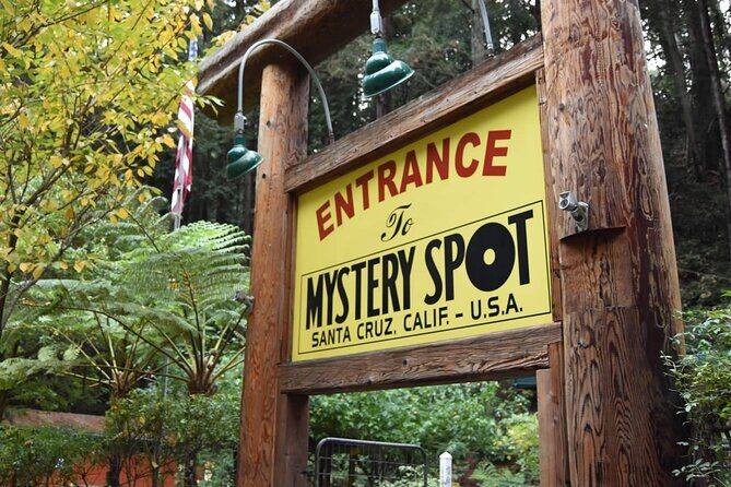 Luxury 3-Day Coastal Getaway: Iconic Highway 1 from SF to LA - Final Thoughts