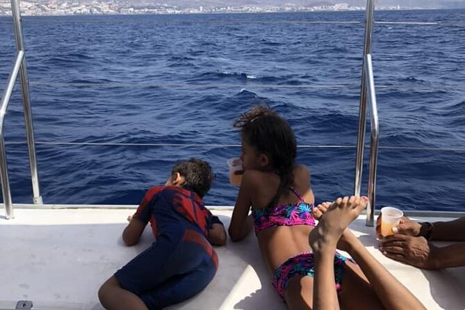 Luxury 3 Hour Catamaran Sailing In Tenerife - End Point and Pickup