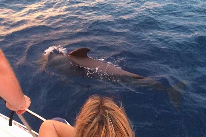 Luxury 3 Hour Catamaran Sailing In Tenerife - What To Expect