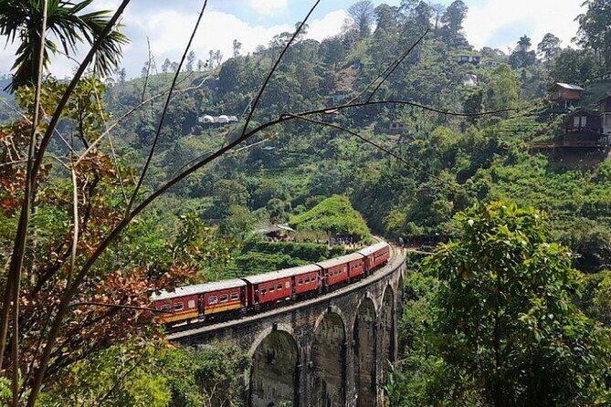 Luxury 7 Days Cultural Triangle Tour in Sri Lanka - Practical Details & What You Should Know