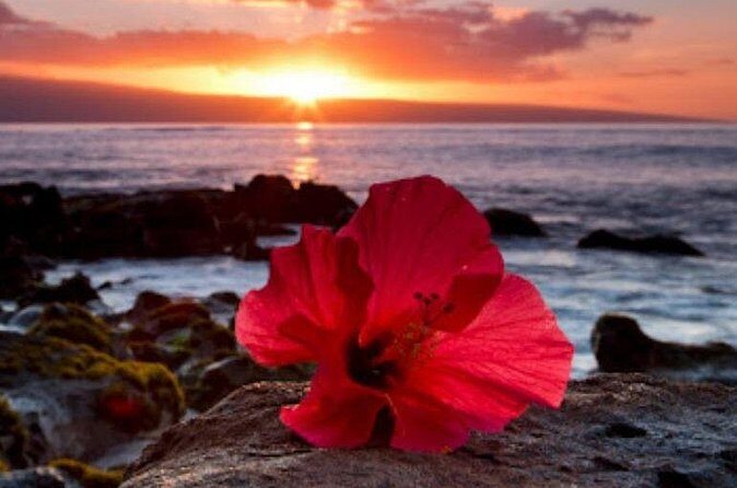 Luxury Airport Transfer in Hawaii - FAQ