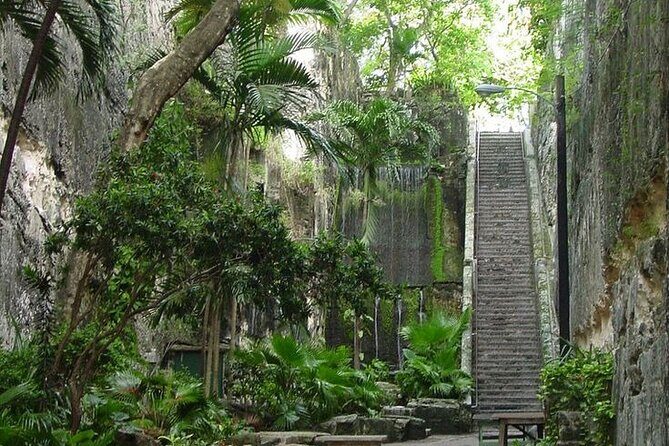 Luxury Airport Transfer in Nassau  VIP Mercedes Sprinter Service - The Cost and Its Value