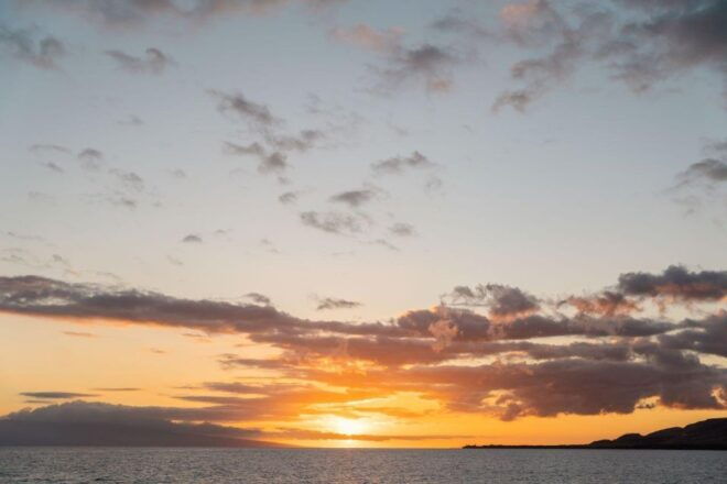 Luxury Alii Nui Royal Sunset Dinner Sail in Maui - Experience Highlights