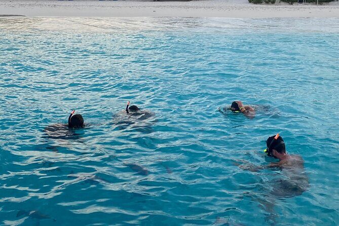 Luxury and Private Snorkel with Beach and Sunset View - What You Can Expect in Terms of Amenities and Inclusions