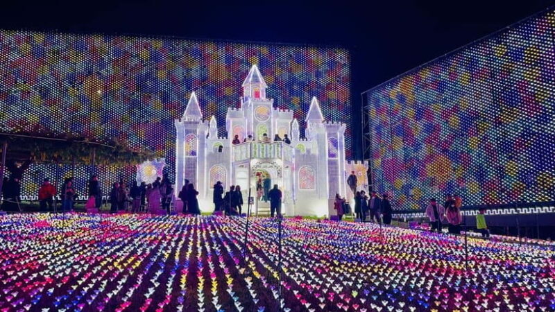 Luxury Ashikaga Flowers Park Tour With Pickup & Drop off - Good To Know