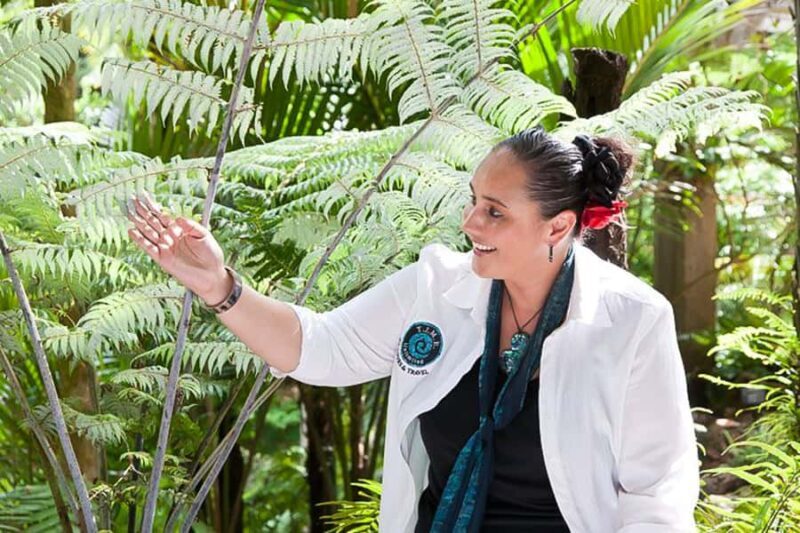 Luxury Auckland Maori Tour - Good To Know